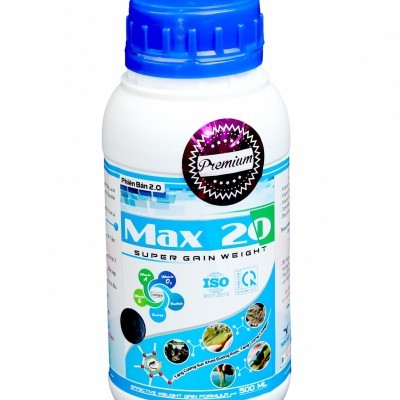 Max 20 2.0