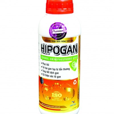 Hipogan