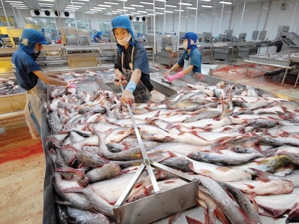 Trung Quốc có nhu cầu nhập khẩu trở lại nhưng lại muốn ép giá thủy sản Việt