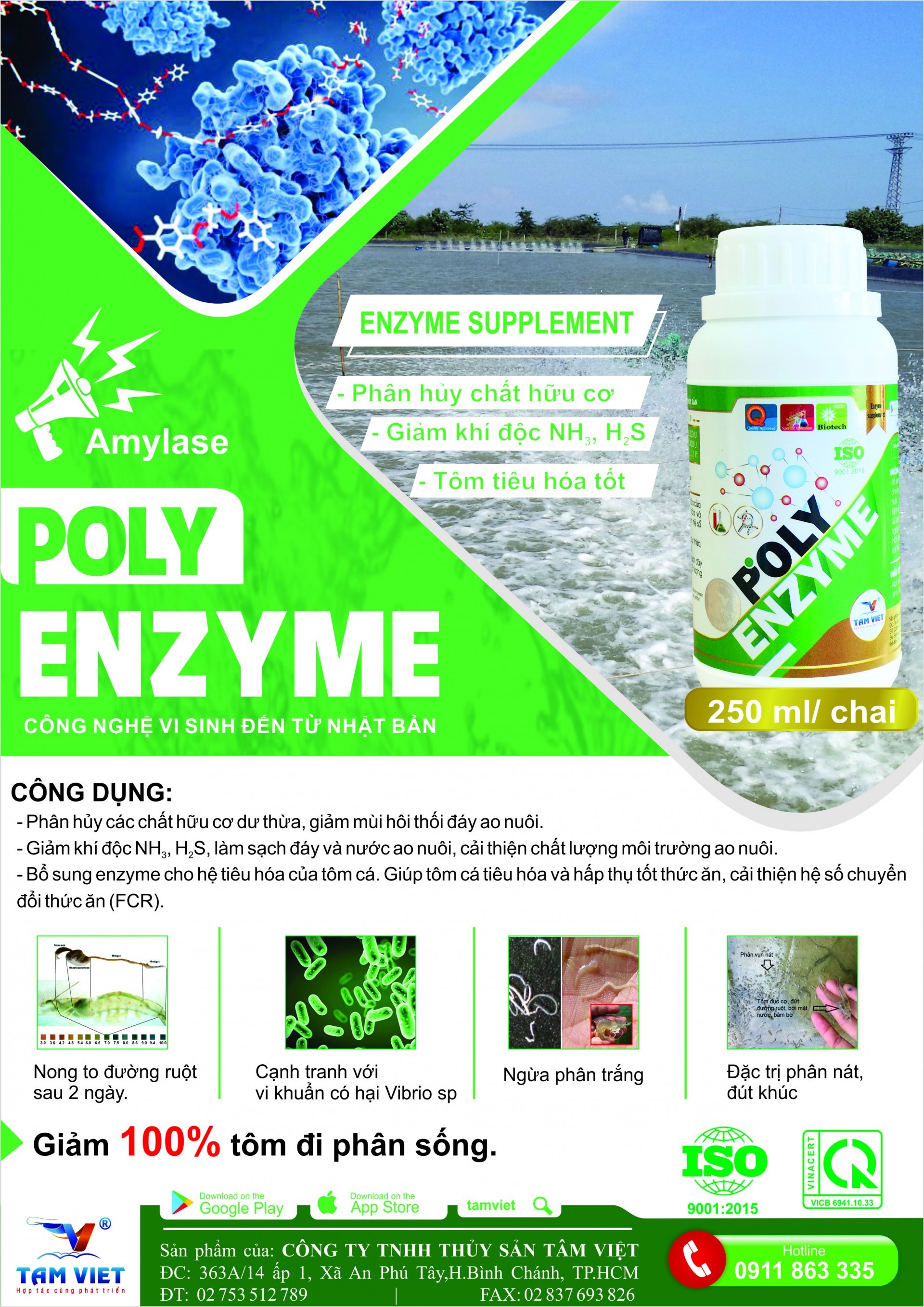 Poly Enzyme Công nghệ lên men tự nhiên